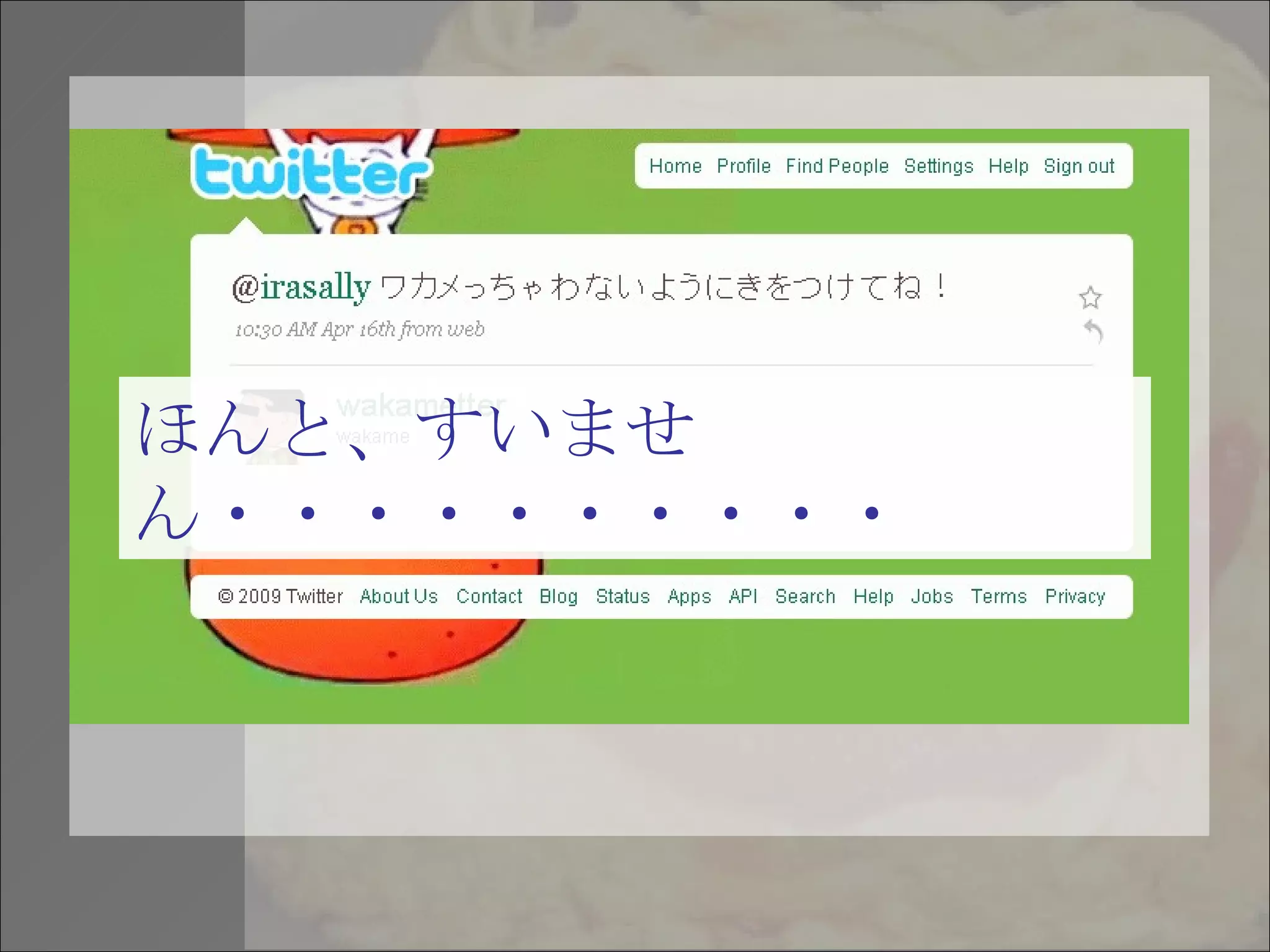 ほんと、すいません・・・・・・・・・・ 