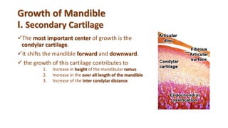 Growth of Mandible
I. Secondary Cartilage
The most important center of growth is the
condylar cartilage.
It shifts the mandible forward and downward.
 the growth of this cartilage contributes to
1. Increase in height of the mandibular ramus
2. Increase in the over all length of the mandible
3. Increase of the inter condylar distance
 