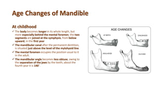 Age Changes of Mandible
At childhood
 The body becomes longer in its whole length, but
more especially behind the mental foramen; the two
segments are joined at the symphysis, from below
upward, in the first year
 The mandibular canal after the permanent dentition,
is situated just above the level of the mylohyoid line.
 The mental foramen occupies the position usual to it
in the adult.
 The mandibular angle becomes less obtuse, owing to
the separation of the jaws by the teeth; about the
fourth year it is 140°.
 