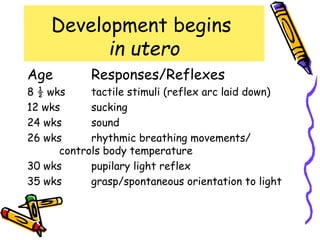 Development begins
          in utero
Age         Responses/Reflexes
8 ½ wks     tactile stimuli (reflex arc laid down)
12 wks      sucking
24 wks      sound
26 wks      rhythmic breathing movements/
      controls body temperature
30 wks      pupilary light reflex
35 wks      grasp/spontaneous orientation to light
 