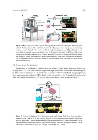 Bioengineering 2017, 4, 51 4 of 20
Bioengineering 2017, 4, 51 4 of 19
Figure 2. (A) Tailor made incubator system developed by Fraunhofer IGB, Stuttgart. A heating plate
controls the temperature of the incubator chamber. Two 4 channel pumps can operate several tubing
systems at once. A pinch valve can be used to apply hydrostatic pressure (HP). All functions are controlled
via a touch screen control panel and all data can be recorded via USB port; (B) Single reactor setup in the
incubator system: pressure sensors (P) measure the pressure differential inside the bioreactor system non-
invasively; (C) Multi reactor setup: up to eight independent bioreactors can be operated in parallel
(modified from [23], with permission from S. Karger AG, Medical and Scientific Publishers).
2.3. Pressure Sensor Characterization
The pressure in the bioreactor tubing system was studied for each sensor separately at flow rates
ranging from 1.5 to 15 mL/min. For this, the pump was programmed to increase the flow rate stepwise
by 0.5 mL/min every 10 min (n = 3). As the data acquisition system recorded each change in pressure,
these measurements resulted in 4423 ± 4 data points for each flow rate. A circular bioreactor setup
filled with double distilled water (37 °C) was used during sensor characterization (Figure 3).
Figure 3. Scheme and picture of the bioreactor setup used during fluid shear stress prediction
measurements. Water at 37 °C was pumped through the bioreactor chamber containing the porous
scaffold Sponceram. Pressure sensors measured the pressure upstream (P1) and downstream (P2) of
the bioreactor chamber non-invasively. Sponceram is depicted as volume rendering of a microCT scan
and scaffold dimensions are given as h = height, d = diameter, and A = area.
Figure 2. (A) Tailor made incubator system developed by Fraunhofer IGB, Stuttgart. A heating plate
controls the temperature of the incubator chamber. Two 4 channel pumps can operate several tubing
systems at once. A pinch valve can be used to apply hydrostatic pressure (HP). All functions are
controlled via a touch screen control panel and all data can be recorded via USB port; (B) Single
reactor setup in the incubator system: pressure sensors (P) measure the pressure differential inside
the bioreactor system non-invasively; (C) Multi reactor setup: up to eight independent bioreactors
can be operated in parallel (modiﬁed from [23], with permission from S. Karger AG, Medical and
Scientiﬁc Publishers).
2.3. Pressure Sensor Characterization
The pressure in the bioreactor tubing system was studied for each sensor separately at ﬂow rates
ranging from 1.5 to 15 mL/min. For this, the pump was programmed to increase the ﬂow rate stepwise
by 0.5 mL/min every 10 min (n = 3). As the data acquisition system recorded each change in pressure,
these measurements resulted in 4423 ± 4 data points for each ﬂow rate. A circular bioreactor setup
ﬁlled with double distilled water (37 ◦C) was used during sensor characterization (Figure 3).
Bioengineering 2017, 4, 51 4 of 19
Figure 2. (A) Tailor made incubator system developed by Fraunhofer IGB, Stuttgart. A heating plate
controls the temperature of the incubator chamber. Two 4 channel pumps can operate several tubing
systems at once. A pinch valve can be used to apply hydrostatic pressure (HP). All functions are controlled
via a touch screen control panel and all data can be recorded via USB port; (B) Single reactor setup in the
incubator system: pressure sensors (P) measure the pressure differential inside the bioreactor system non-
invasively; (C) Multi reactor setup: up to eight independent bioreactors can be operated in parallel
(modified from [23], with permission from S. Karger AG, Medical and Scientific Publishers).
2.3. Pressure Sensor Characterization
The pressure in the bioreactor tubing system was studied for each sensor separately at flow rates
ranging from 1.5 to 15 mL/min. For this, the pump was programmed to increase the flow rate stepwise
by 0.5 mL/min every 10 min (n = 3). As the data acquisition system recorded each change in pressure,
these measurements resulted in 4423 ± 4 data points for each flow rate. A circular bioreactor setup
filled with double distilled water (37 °C) was used during sensor characterization (Figure 3).
Figure 3. Scheme and picture of the bioreactor setup used during fluid shear stress prediction
measurements. Water at 37 °C was pumped through the bioreactor chamber containing the porous
scaffold Sponceram. Pressure sensors measured the pressure upstream (P1) and downstream (P2) of
the bioreactor chamber non-invasively. Sponceram is depicted as volume rendering of a microCT scan
and scaffold dimensions are given as h = height, d = diameter, and A = area.
Figure 3. Scheme and picture of the bioreactor setup used during ﬂuid shear stress prediction
measurements. Water at 37 ◦C was pumped through the bioreactor chamber containing the porous
scaffold Sponceram. Pressure sensors measured the pressure upstream (P1) and downstream (P2) of
the bioreactor chamber non-invasively. Sponceram is depicted as volume rendering of a microCT scan
and scaffold dimensions are given as h = height, d = diameter, and A = area.
 