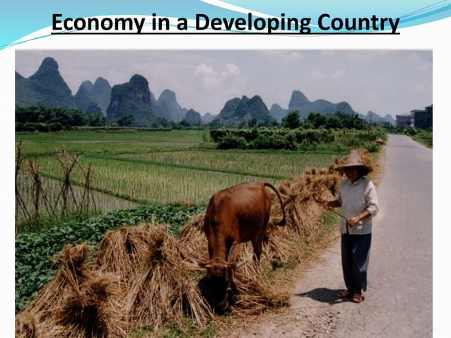 Developed vs. developing (pictures) | PPTX