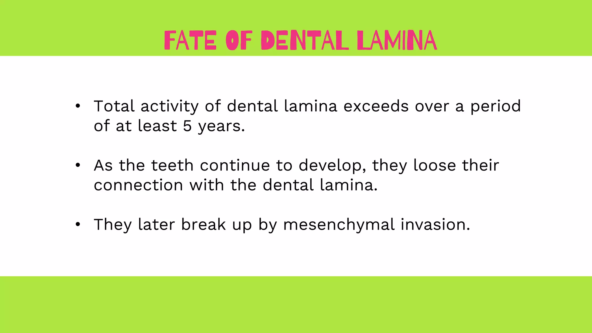 Development of tooth | PPTX