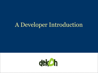 A Developer Introduction 