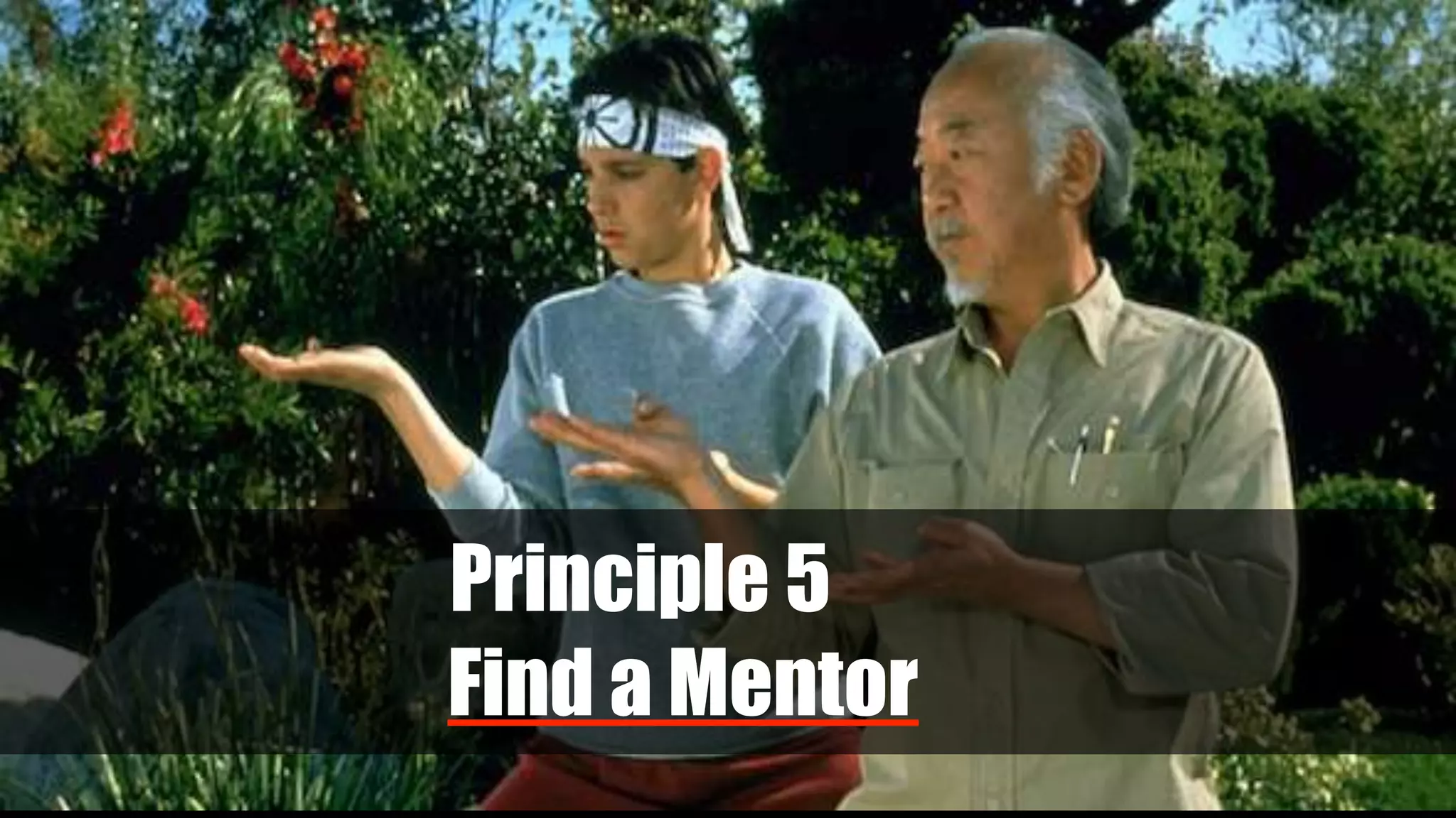 Principle 5
Find a Mentor
 