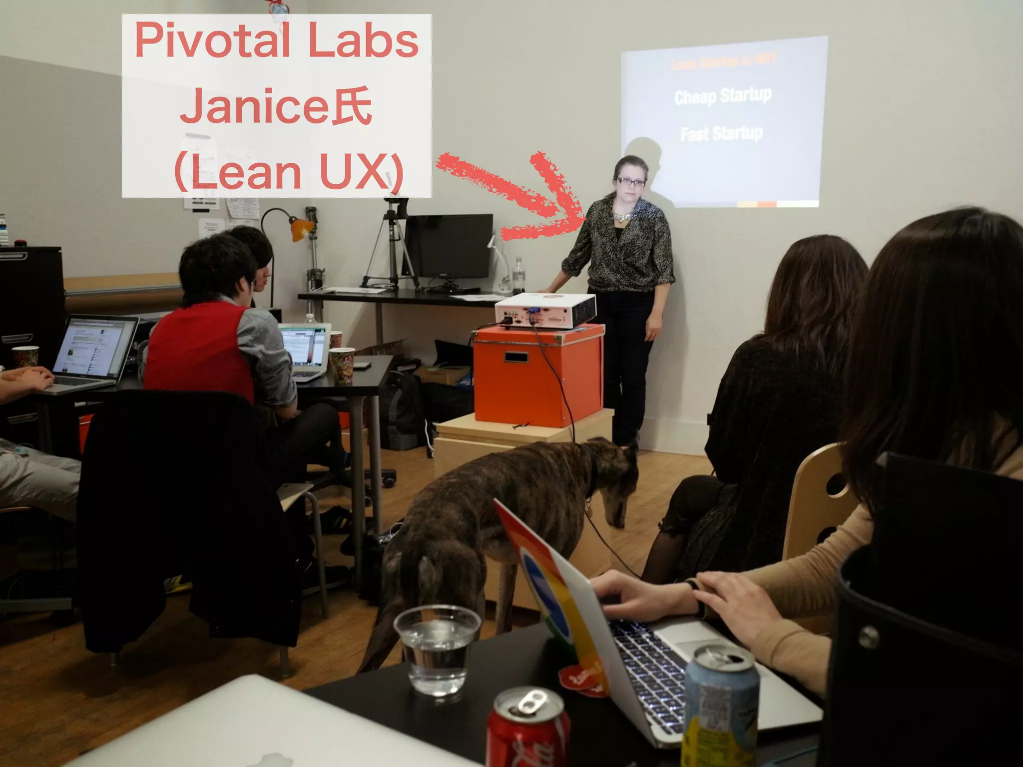 Pivotal Labs
Janice氏
（Lean UX)
 