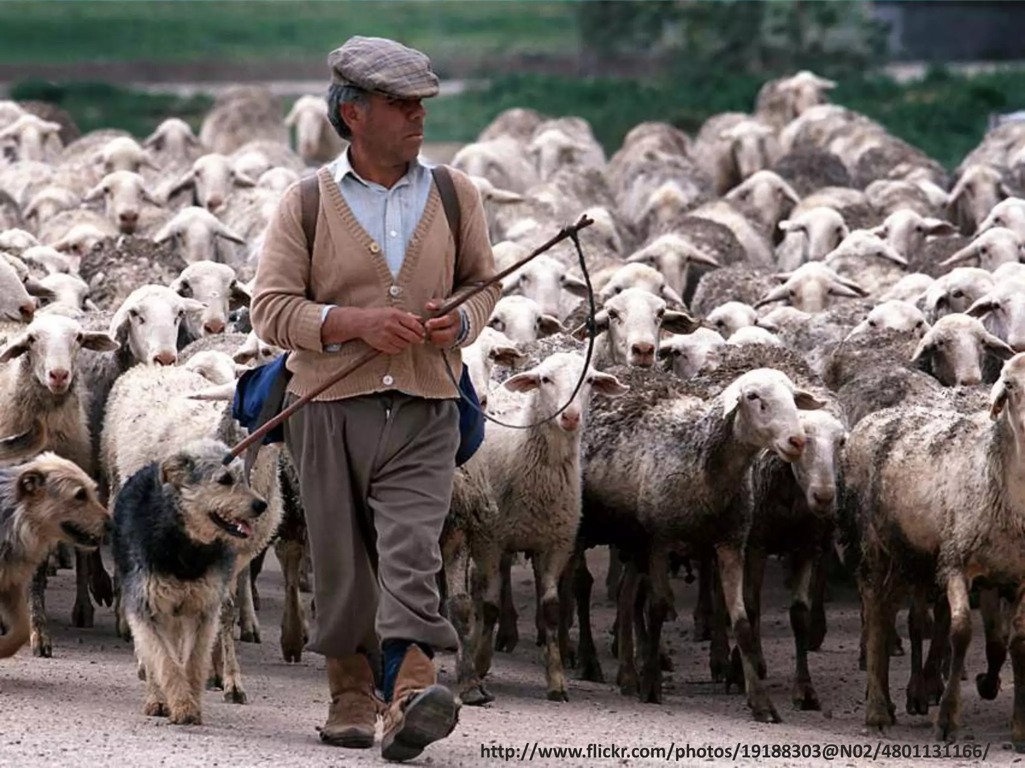 ©2010 CloudBees, Inc. All Rights                           11
          Reserved
           http://www.flickr.com/photos/19188303@N02/4801131166/
 