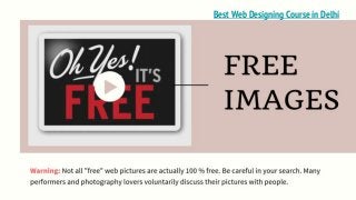 Best Web Designing Course in Delhi
 