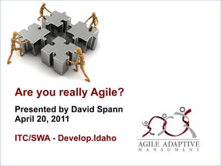 Are you really Agile? Presented by David Spann  April 20, 2011 ITC/SWA - Develop.Idaho 