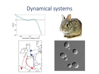 Dynamical systems
 