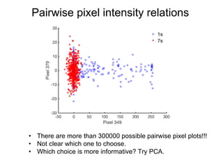 Pairwise pixel intensity relations
• There are more than 300000 possible pairwise pixel plots!!!
• Not clear which one to choose.
• Which choice is more informative? Try PCA.
 