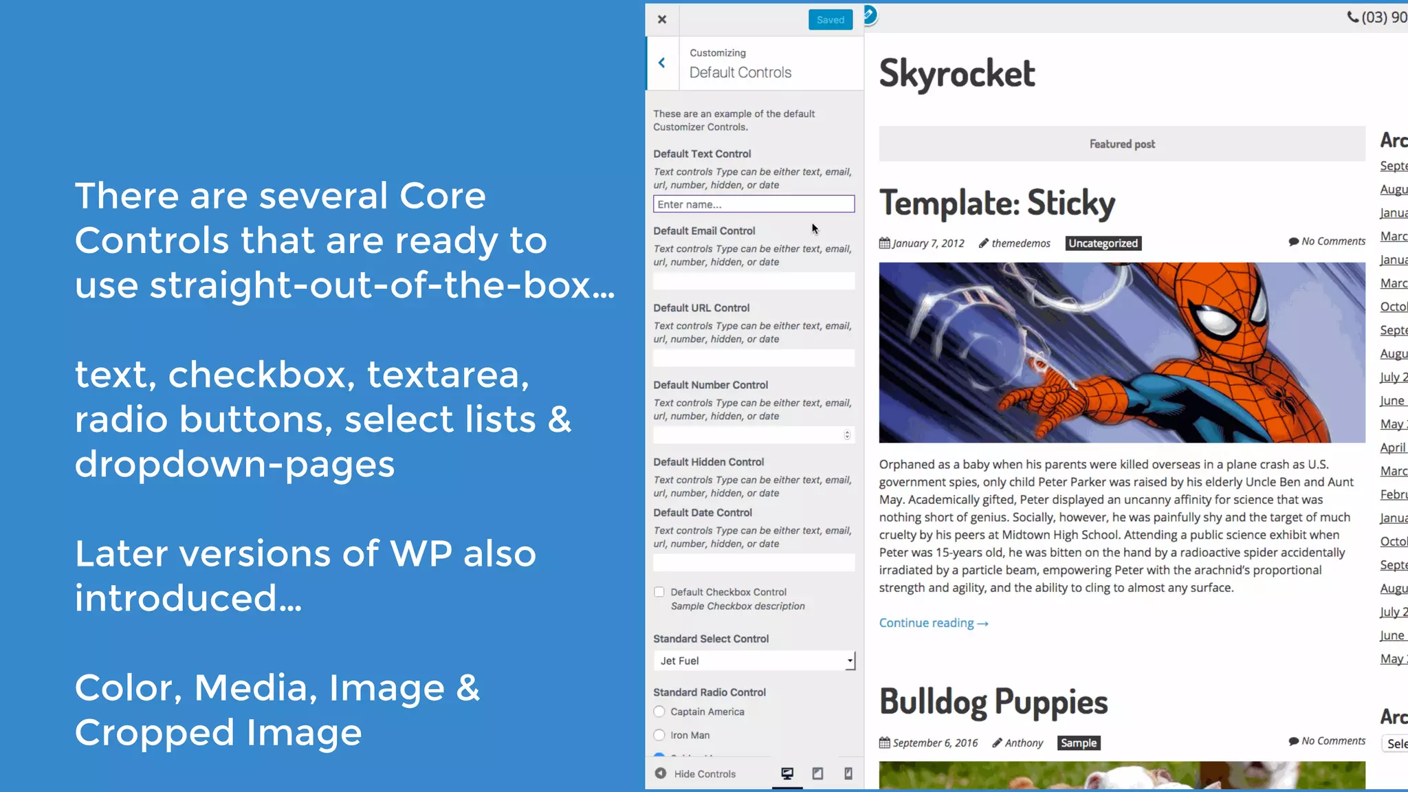 There are several Core
Controls that are ready to
use straight-out-of-the-box…
text, checkbox, textarea,
radio buttons, select lists & 
dropdown-pages
Later versions of WP also
introduced…
Color, Media, Image &
Cropped Image
 