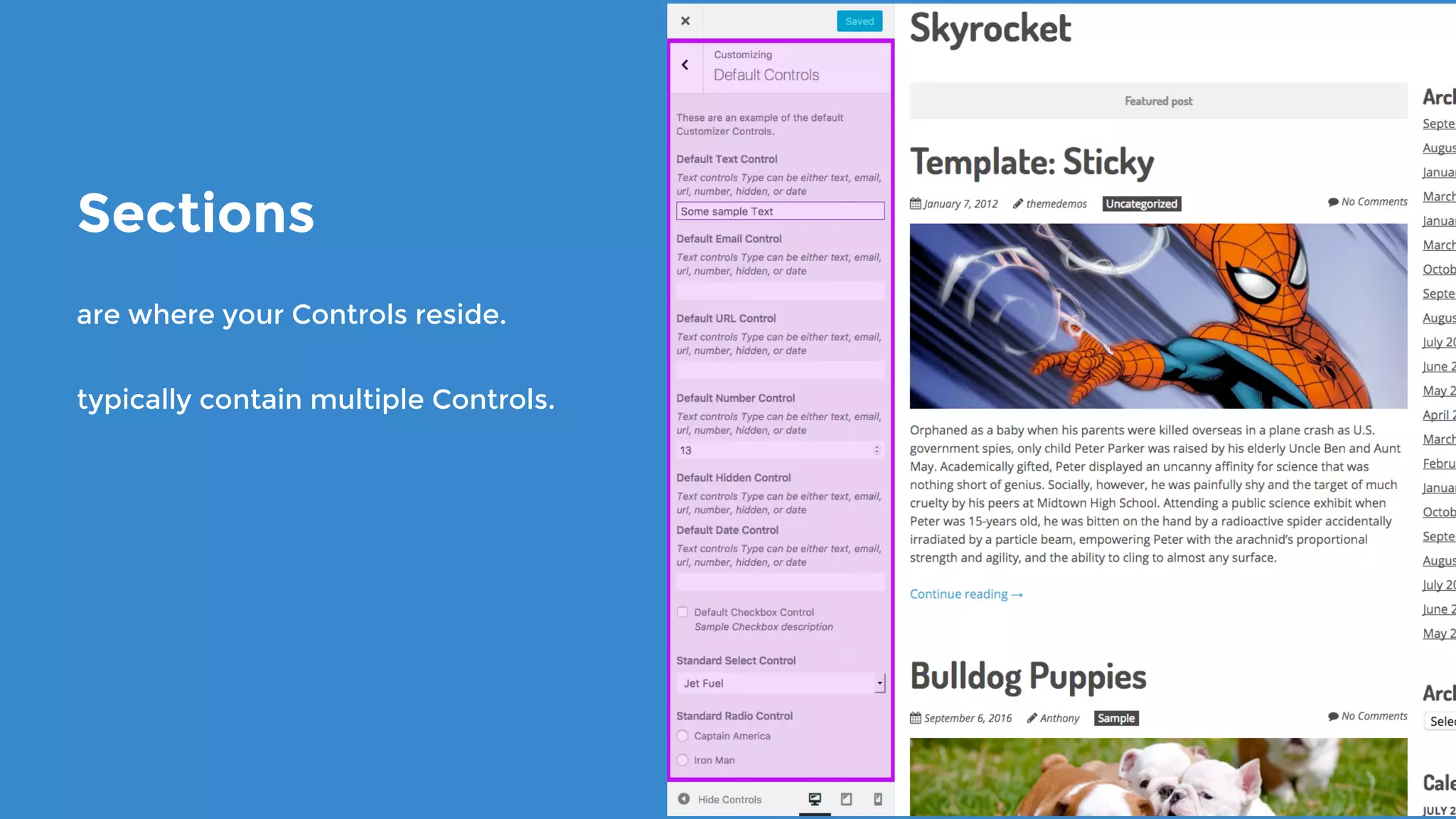 Sections
are where your Controls reside.
typically contain multiple Controls.
 