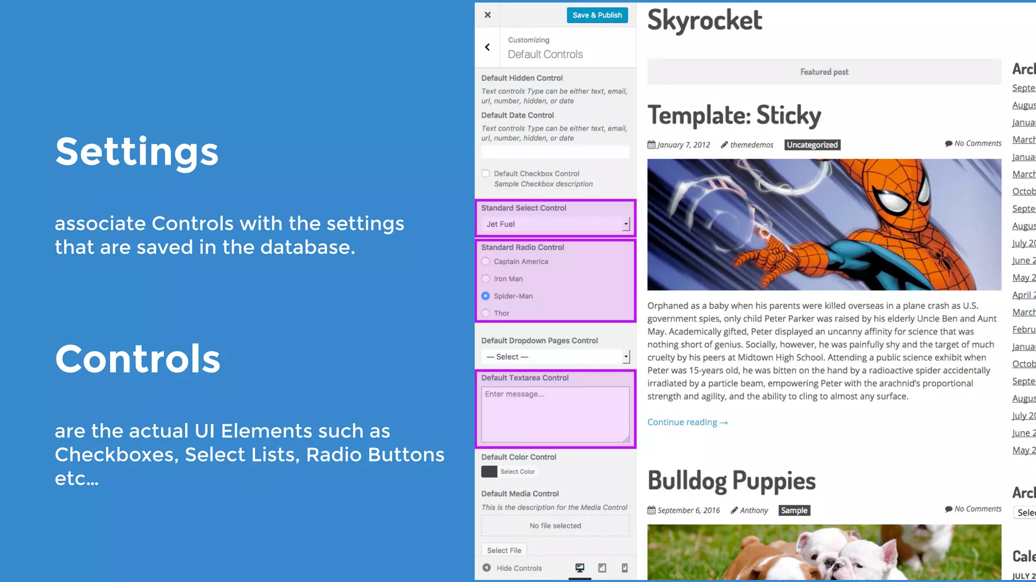 Settings
associate Controls with the settings
that are saved in the database.
Controls
are the actual UI Elements such as
Checkboxes, Select Lists, Radio Buttons
etc…
 