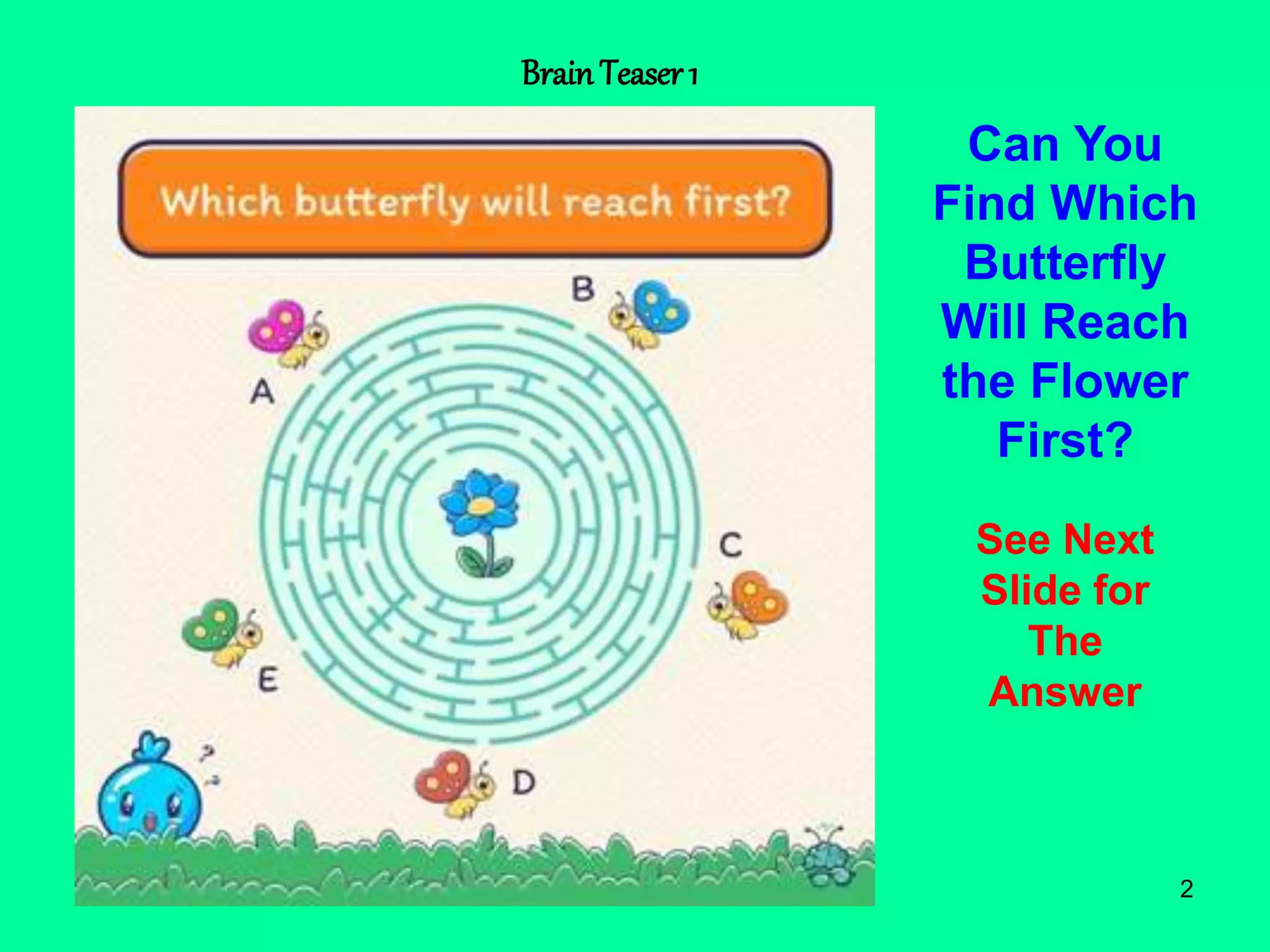 2
BrainTeaser 1
Can You
Find Which
Butterfly
Will Reach
the Flower
First?
See Next
Slide for
The
Answer
 
