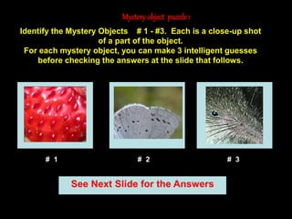 8
Mystery object puzzle1
See Next Slide for the Answers
Identify the Mystery Objects # 1 - #3. Each is a close-up shot
of a part of the object.
For each mystery object, you can make 3 intelligent guesses
before checking the answers at the slide that follows.
# 1 # 2 # 3 # 4
# 1 # 2 # 3
 