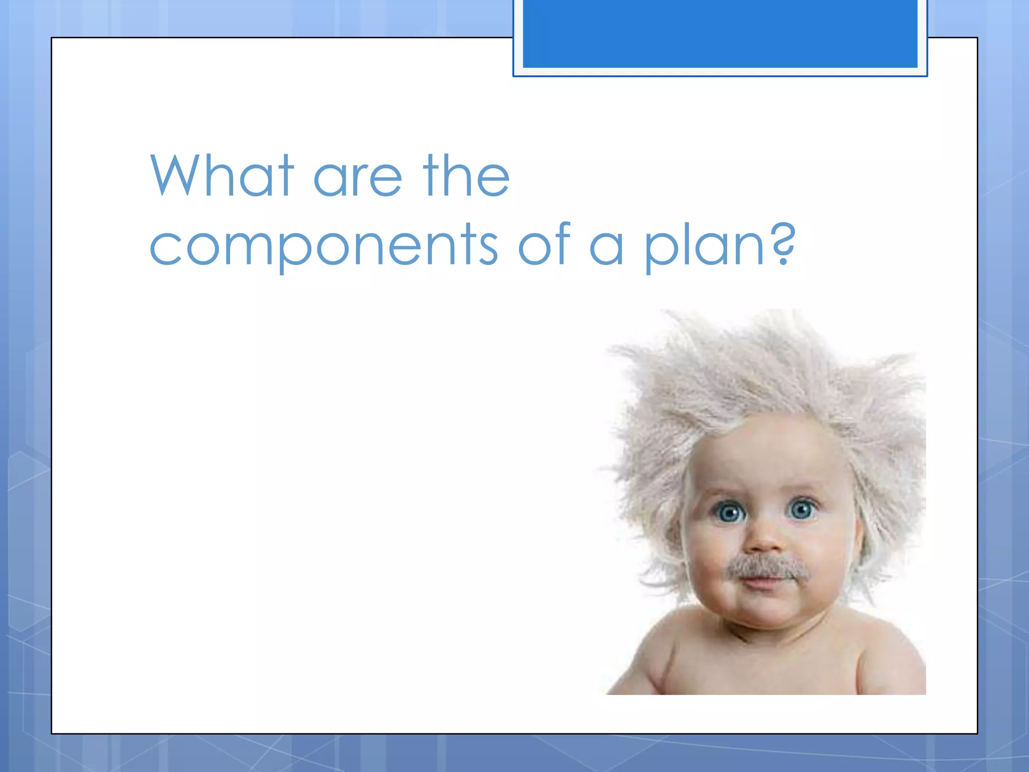 What are the
components of a plan?
 