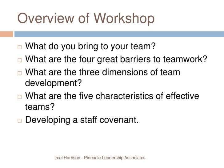 what can you bring to the team
