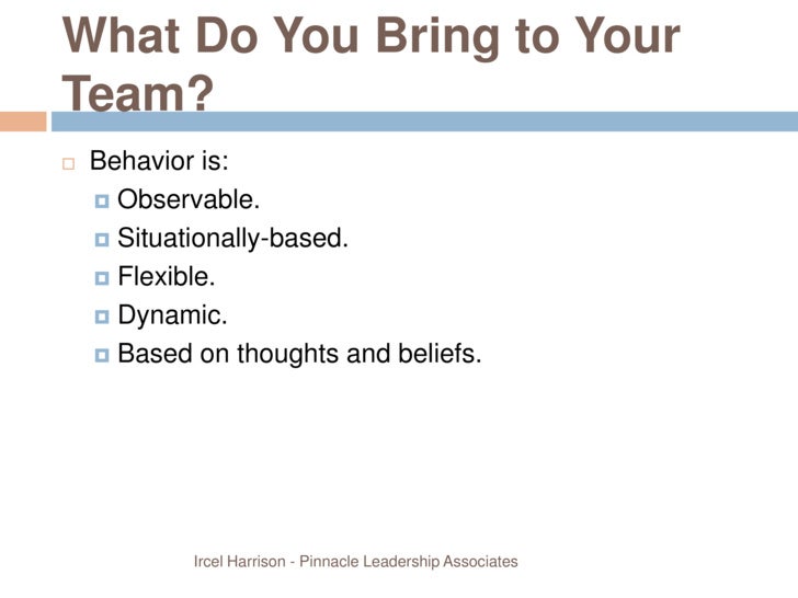 what can you bring to the team