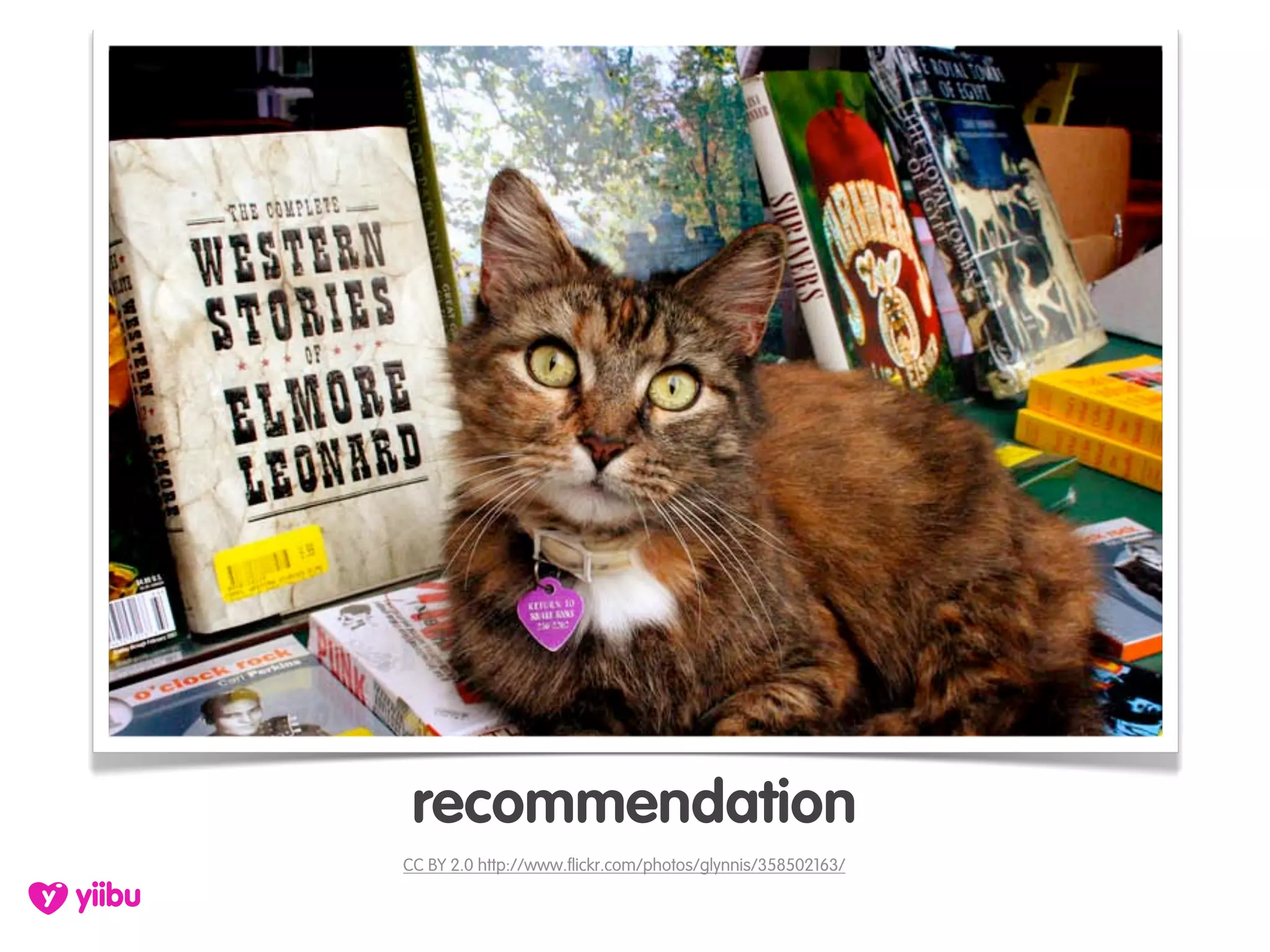 recommendation
CC BY 2.0 http://www.flickr.com/photos/glynnis/358502163/
 
