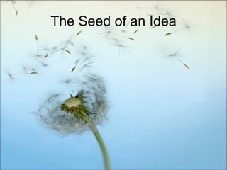 The Seed of an Idea 