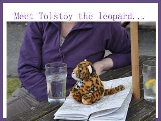 Meet Tolstoy the leopard...
 