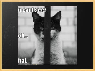 Developing A Procedural Language For Postgre Sql