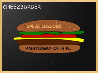 Developing A Procedural Language For Postgre Sql