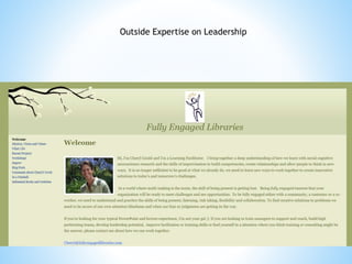 Outside Expertise on Leadership 
 