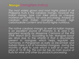  The most widely grown and most highly prized of all
Philippine fruits is the carabao mango, however the
Indian mango type can take place as cheaper
material yet nutritious for wine processing. Analysis of
carabao and Indian mangoes showed high
carbohydrate content and found highly nutritious.
 
 The native carabao mango as well as Indian mango
is an excellent source of Vitamins A, B, and C as
reported recently by Mayenne Carmona of the Phil
STAR, March 2012. According to her, Mangoes boost
sex drive due to the vitamin E that is abundantly
present in mangoes which helps regulate sex
hormones. In Pangasinan as early as December and
Isabela there is lot of harvested mangoes during the
months of April to June which is sold at a very low
price of 12-18 /kg. This can be tap as main source of
fruits for wine and other by-products processing.
 
 