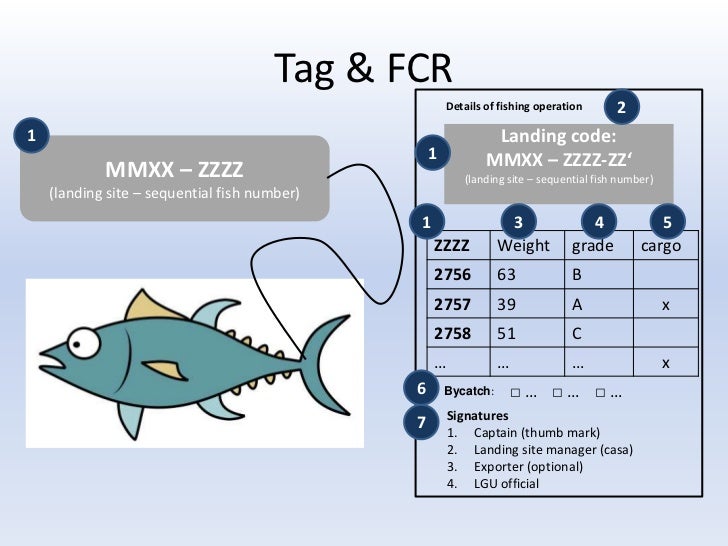 Developing a catch documentation scheme for a tuna
