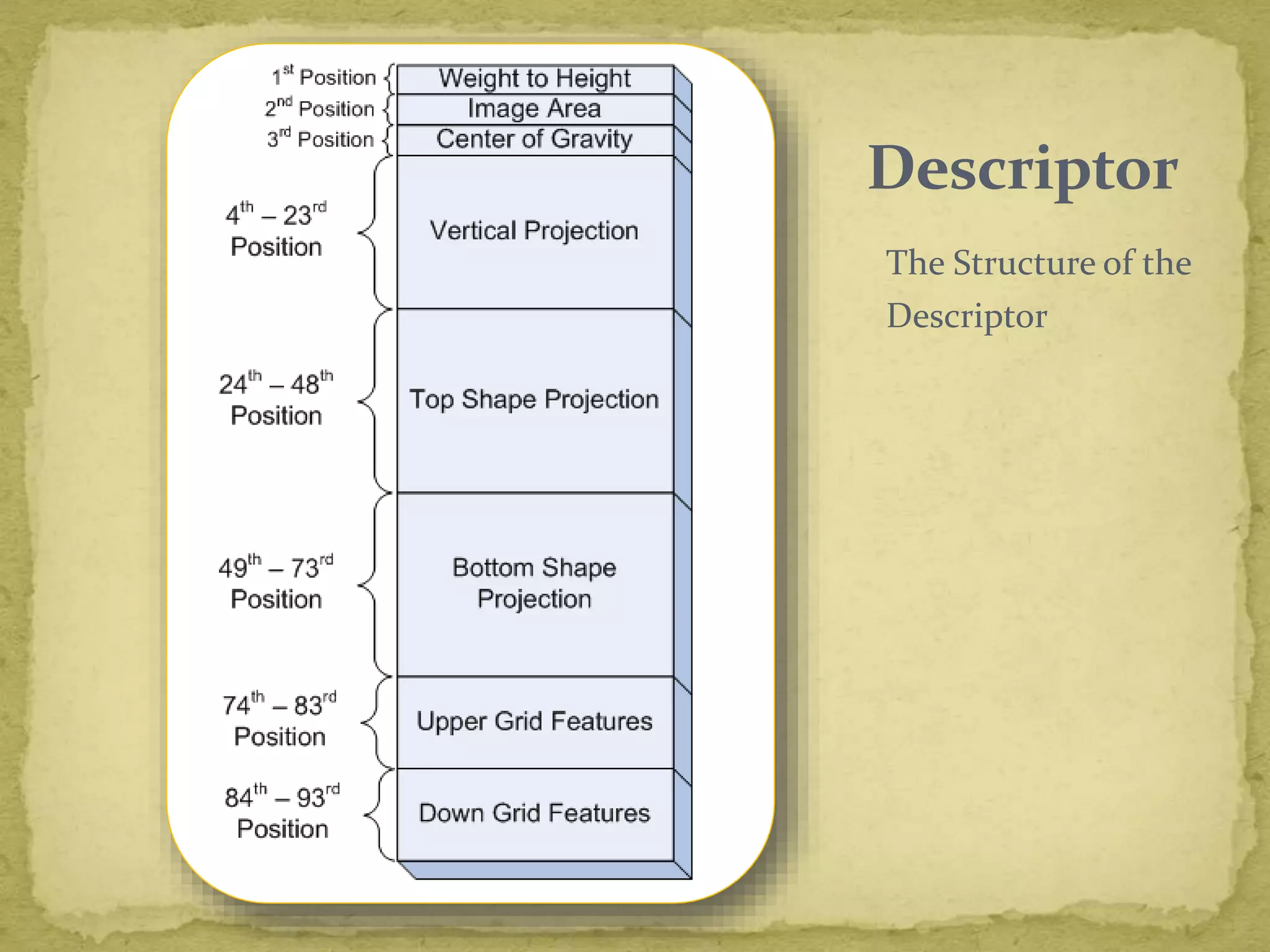 Descriptor
The Structure of the
Descriptor
 