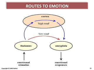 Copyright © JIMS Rohini 15
ROUTES TO EMOTIONROUTES TO EMOTION
 