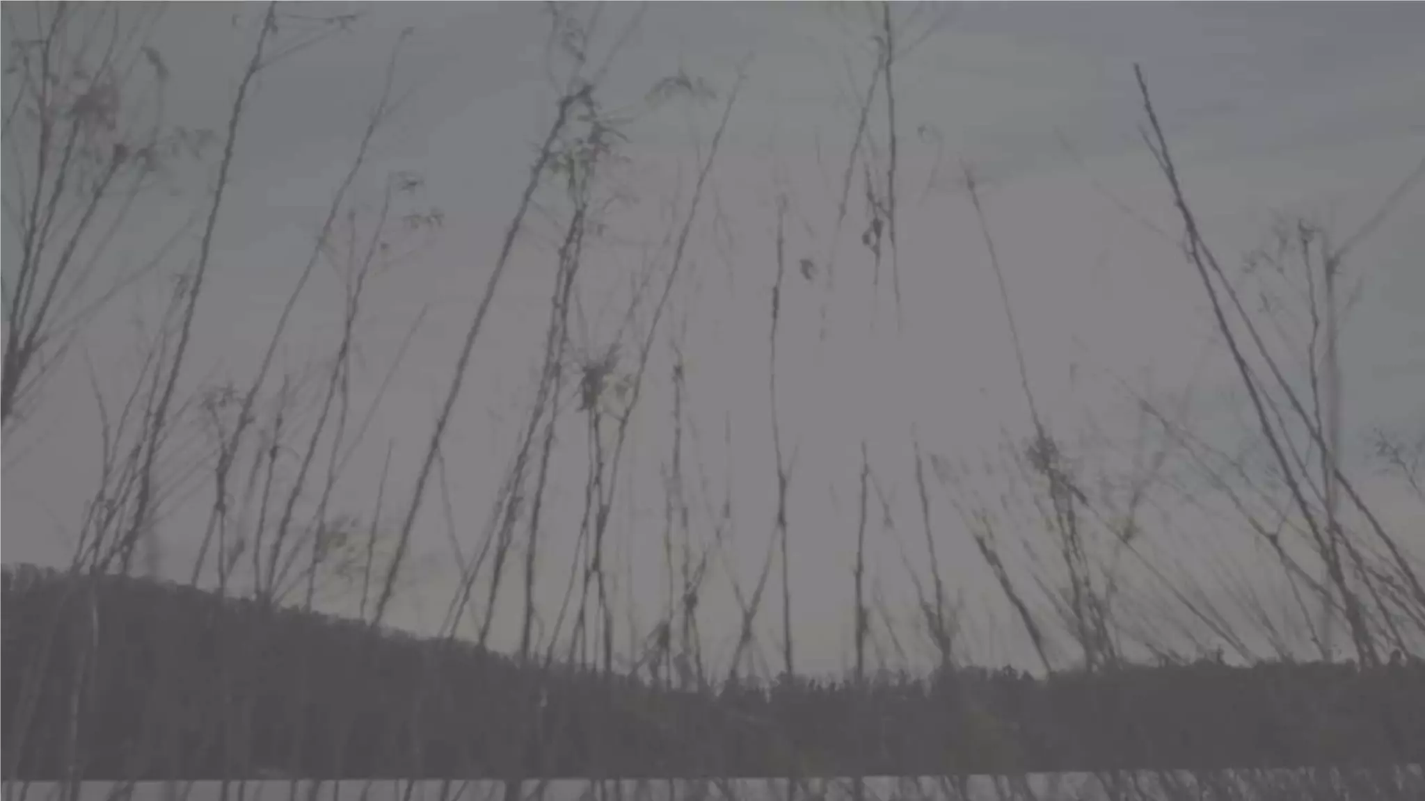 DEVELOPING GRIT, RESILIENCE AND EMPATHY