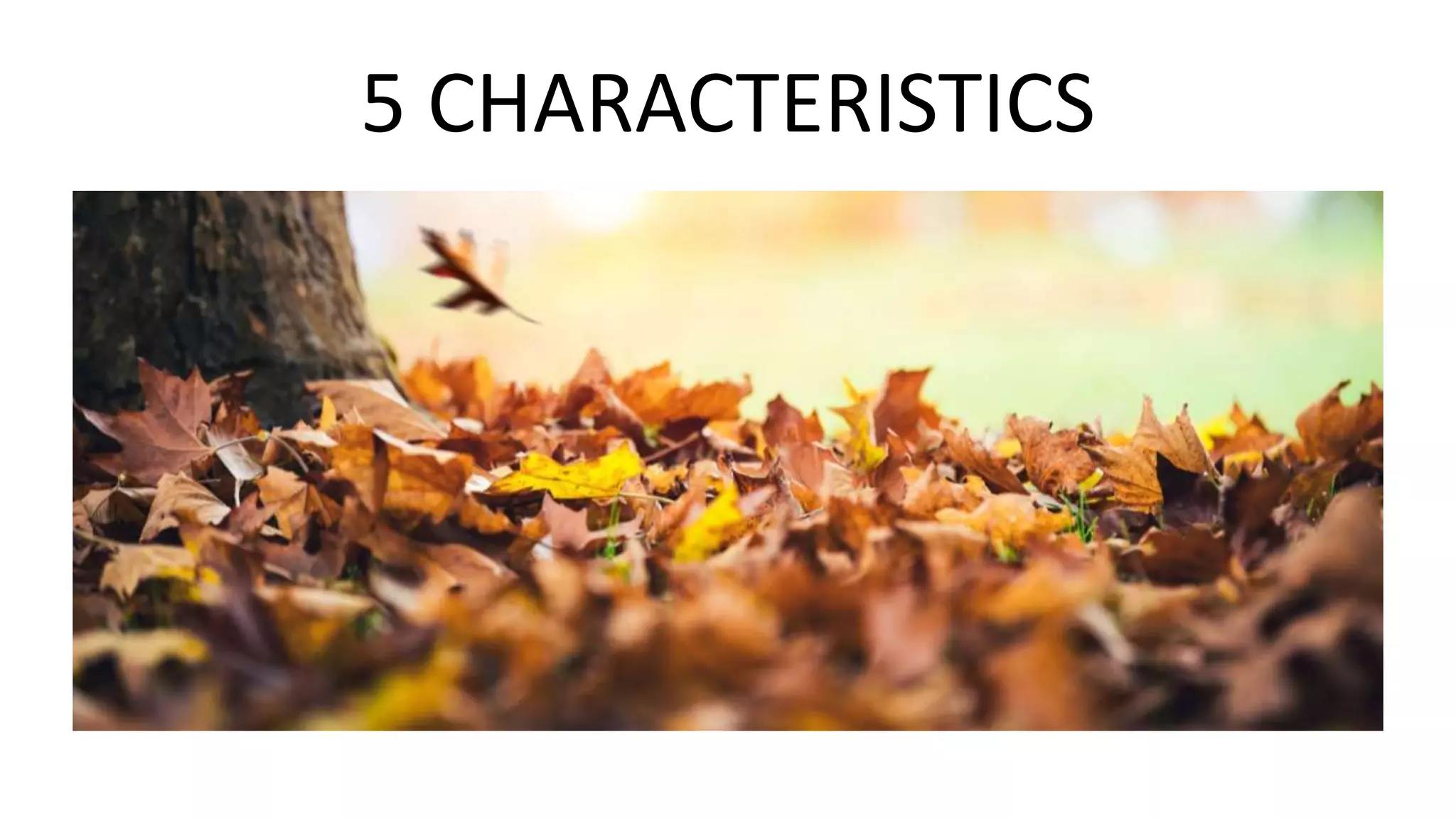 5 CHARACTERISTICS
 