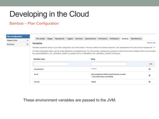 Developing in the Cloud
Bamboo – Plan Configuration
These environment variables are passed to the JVM.
 