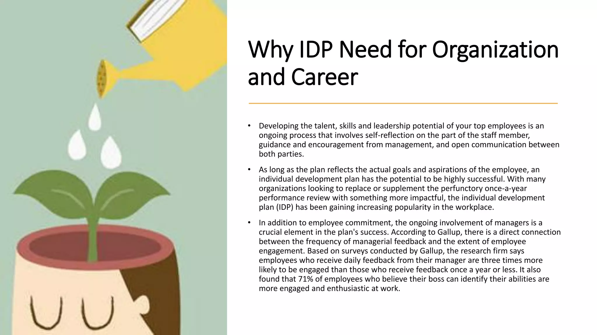 Developing Individual Development Plans (IDP) | PDF