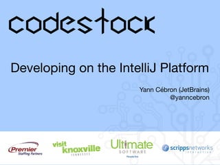 Developing on the IntelliJ Platform
Yann Cébron (JetBrains)

@yanncebron
 