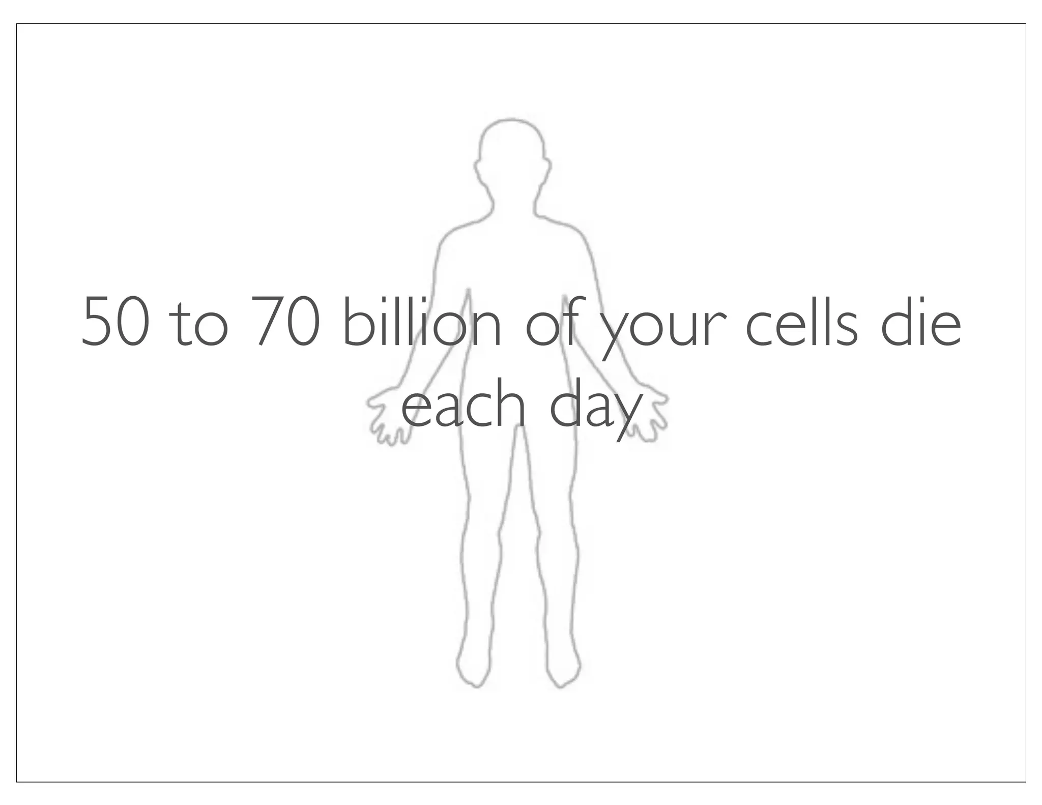 50 to 70 billion of your cells die
            each day
 