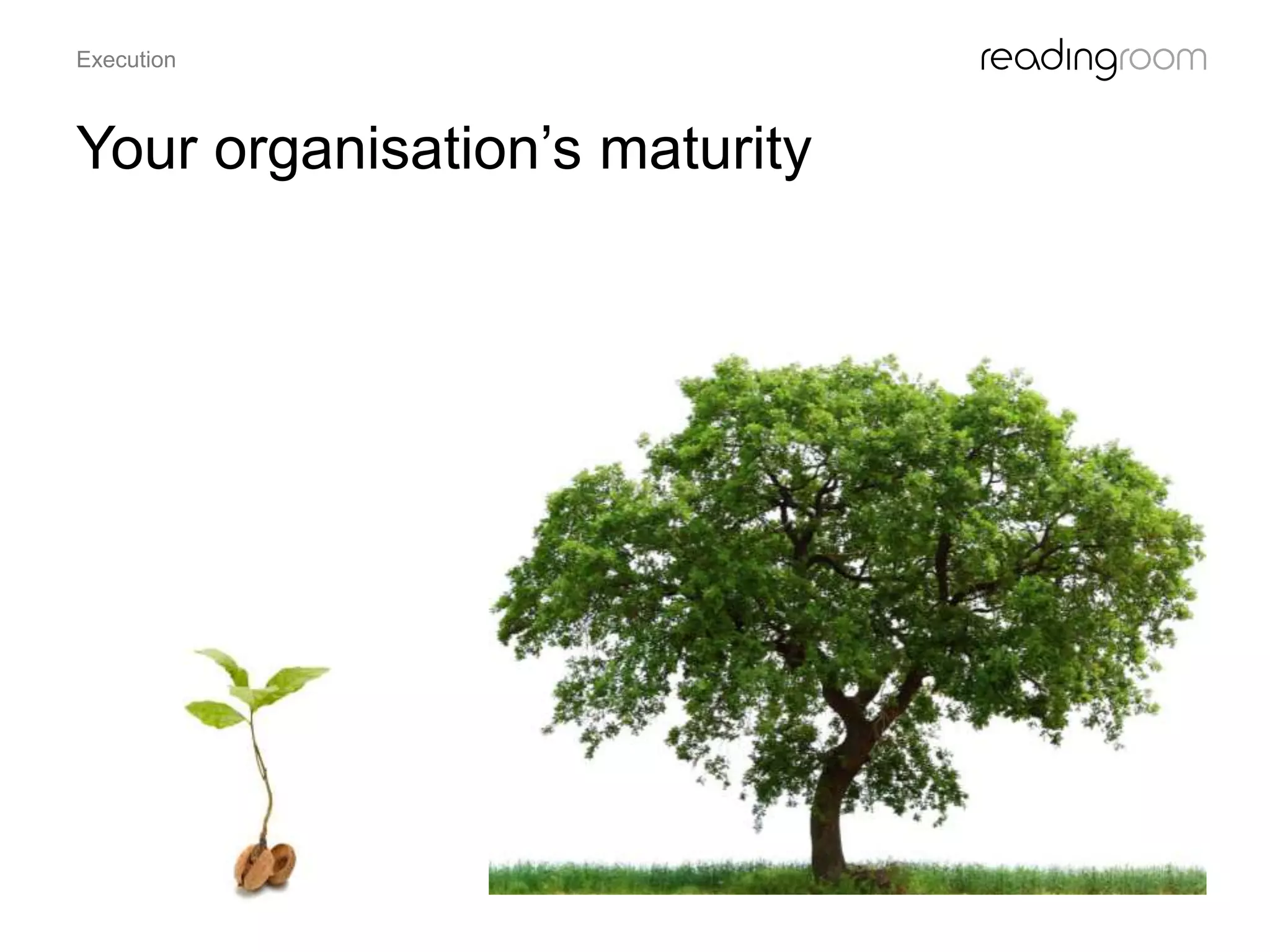 Your organisation’s maturity
Execution
 