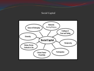 Social Capital
 