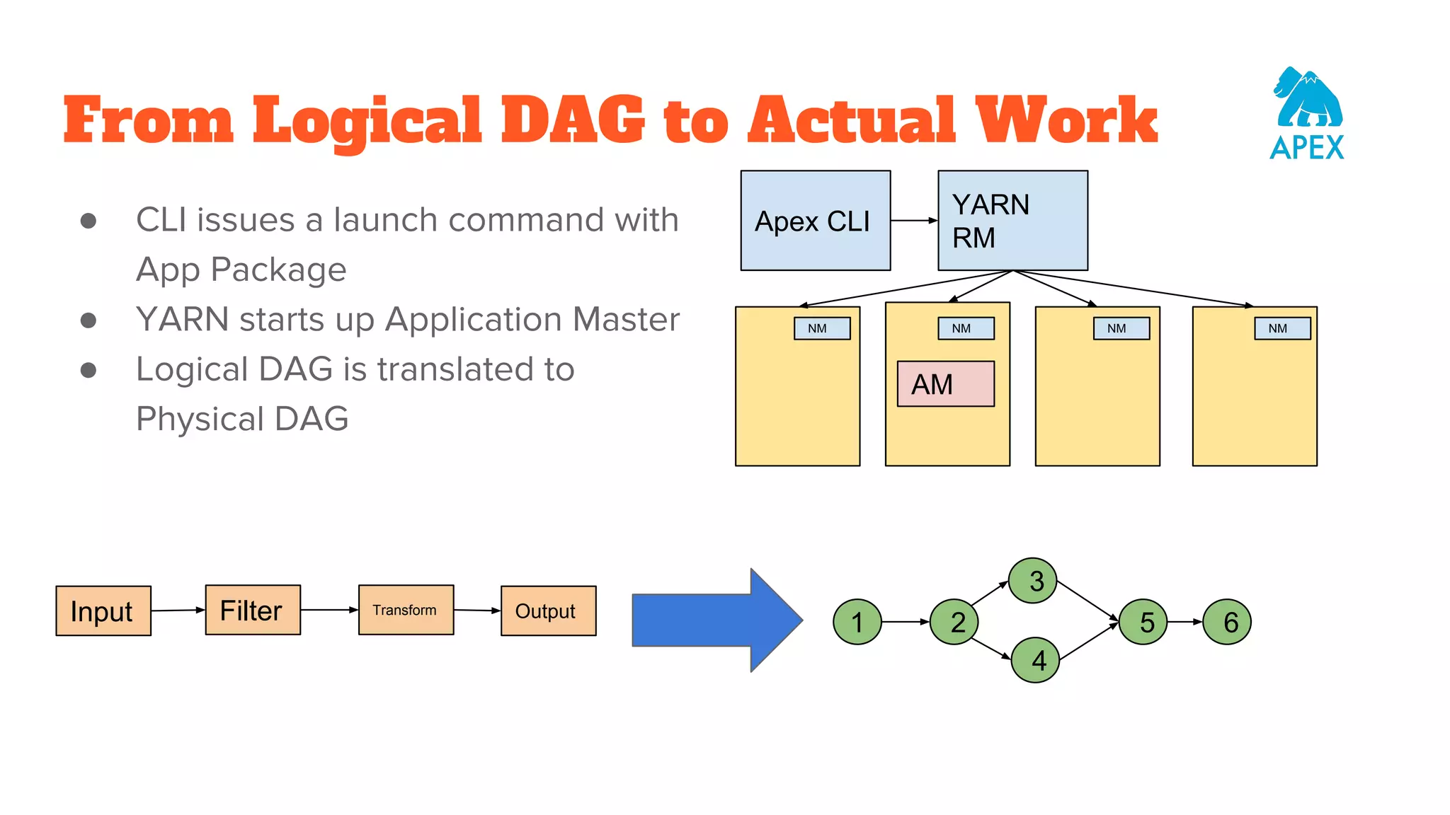 From Logical DAG to Actual Work ● CLI issues a launch command with App Package ● YARN starts up Application Master ● Logical DAG is translated to Physical DAG Apex CLI YARN RM NM NM NM NM AM 1 2 3 4 5 6Input Filter Transform Output 