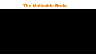 The Malleable Brain
 