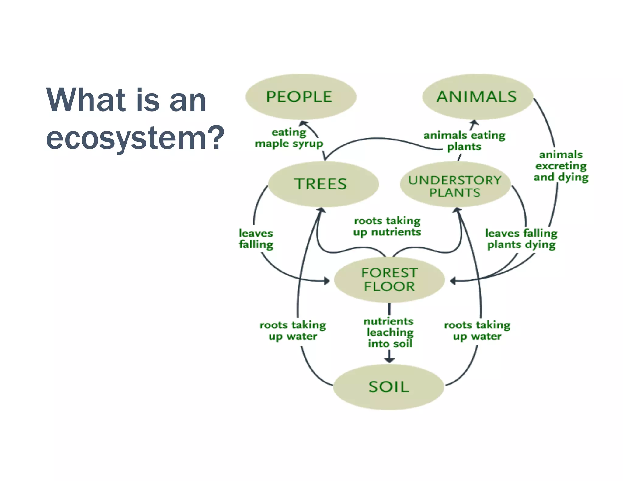 When an ecosystem is broken…
• Disconnected content
• Customer confusion and frustration
• Missed opportunities
35	
  
 