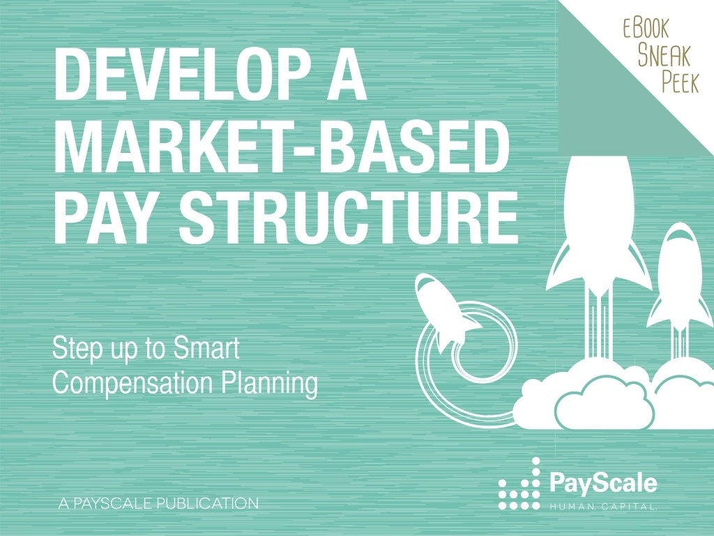 Develop A Market based Pay Structure EBook Sneak Peek