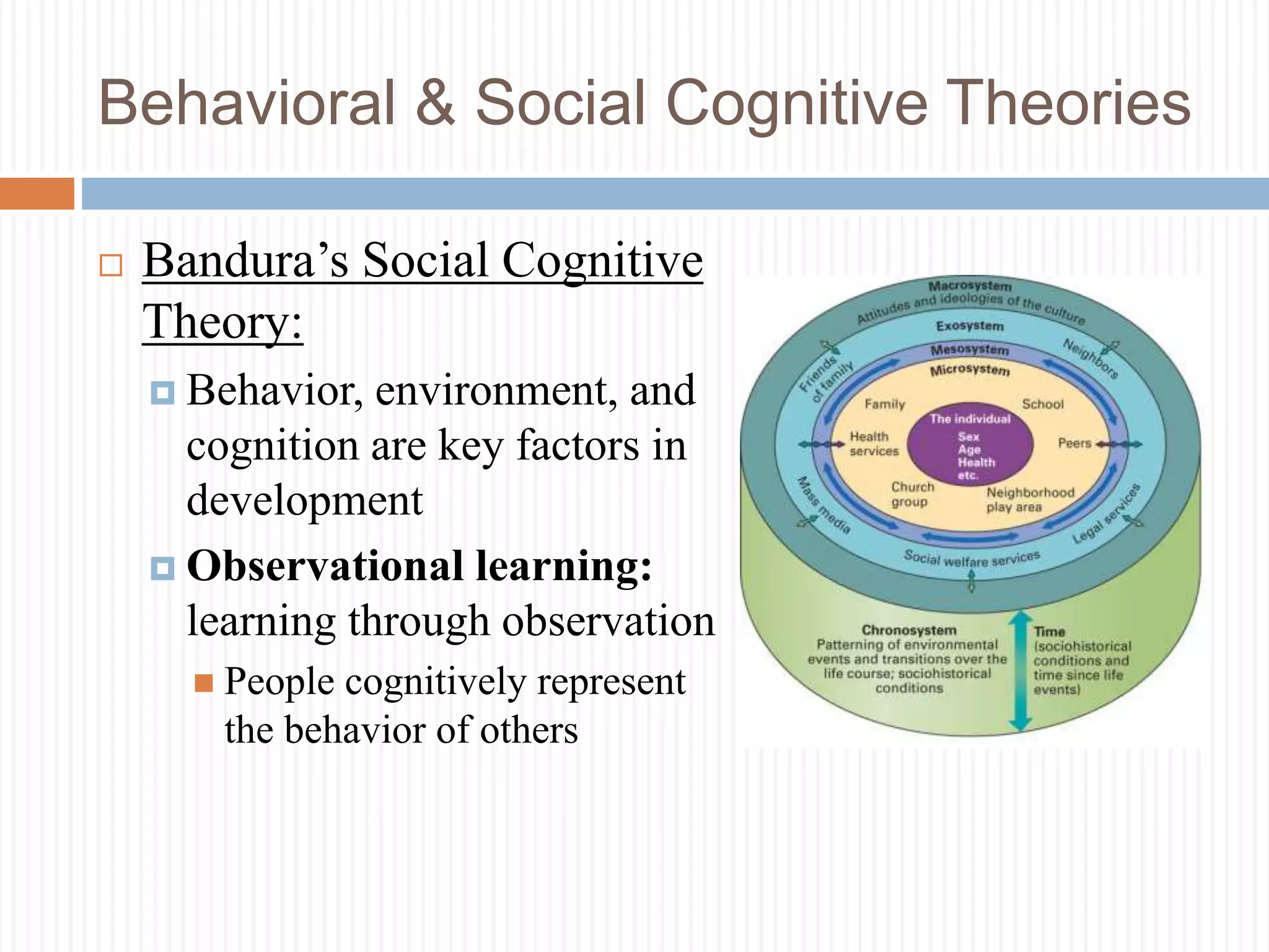 Behavioral & Social Cognitive Theories
 Bandura’s Social Cognitive
Theory:
 Behavior, environment, and
cognition are key factors in
development
 Observational learning:
learning through observation
 People cognitively represent
the behavior of others
 