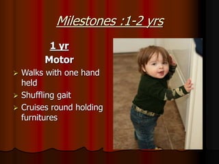 Milestones :1-2 yrs
1 yr
Motor
 Walks with one hand
held
 Shuffling gait
 Cruises round holding
furnitures
 