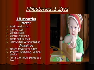 Milestones:1-2yrs
18 months
Motor
 Walks well ,runs
 Carries toys
 Climbs stairs
 Climbs into chair
 Seats self in chair
 Throws ball without falling
Adaptive
 Makes tower of 4 cubes
 Imitates scribbling- vertical
stroke
 Turns 2 or more pages at a
time
 