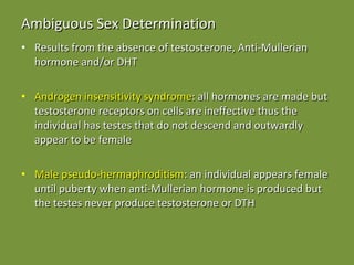 Ambiguous Sex Determination Results from the absence of testosterone, Anti-Mullerian hormone and/or DHT Androgen insensitivity syndrome : all hormones are made but testosterone receptors on cells are ineffective thus the individual has testes that do not descend and outwardly appear to be female Male pseudo-hermaphroditism : an individual appears female until puberty when anti-Mullerian hormone is produced but the testes never produce testosterone or DTH 
