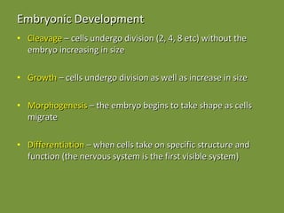 Embryonic Development Cleavage  – cells undergo division (2, 4, 8 etc) without the embryo increasing in size Growth  – cells undergo division as well as increase in size Morphogenesis  – the embryo begins to take shape as cells migrate Differentiation  – when cells take on specific structure and function (the nervous system is the first visible system) 